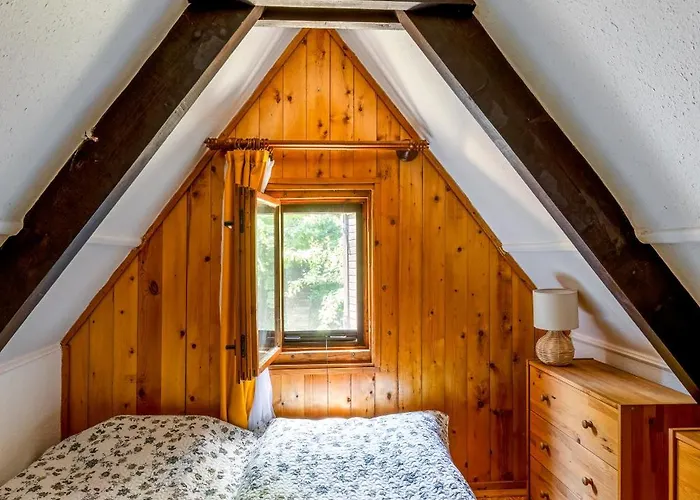 Tiltott Rengeteg * Balatonfůzfő